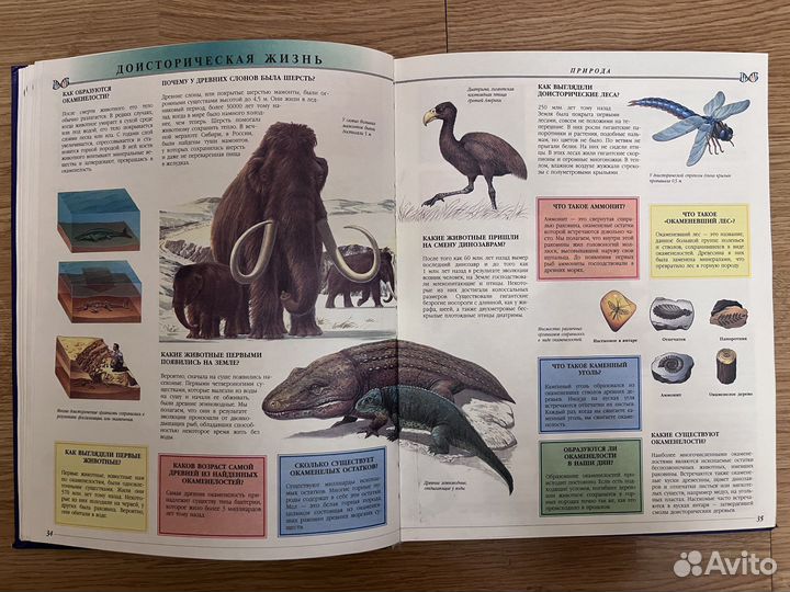 Энциклопедия 1001 вопрос и ответ