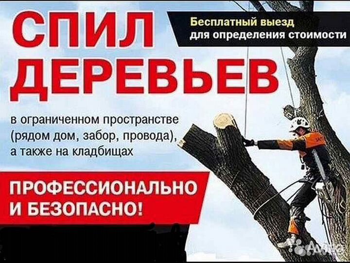 Спилить дерево. Обрезка плодовых. Садовник