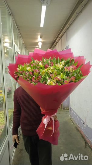 Цветы альстромерия букет альстромерий