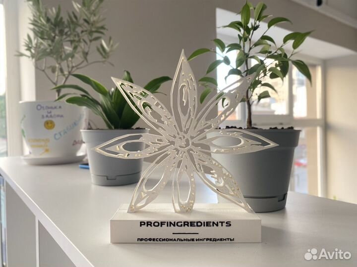 Изолят соевого белка Шаньсун 90 (20 кг)