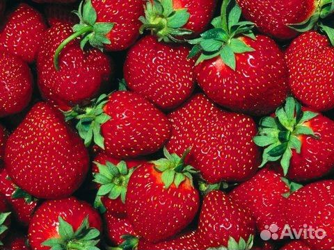 Свежая Клубника из солнечной Киргизии