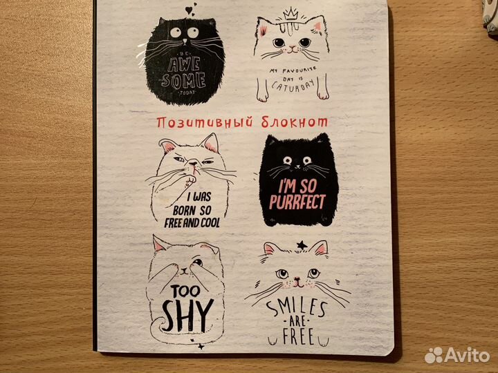 Блокнот с котиками
