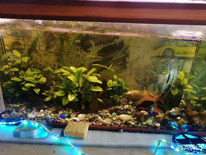 Аквариум 180л. с рыбками