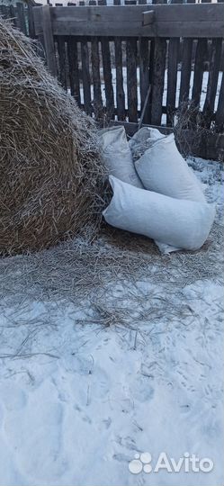 Солома в мешках