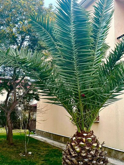 Коттедж 150 м² на участке 10 сот.