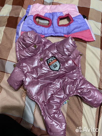 Одежда для щенка