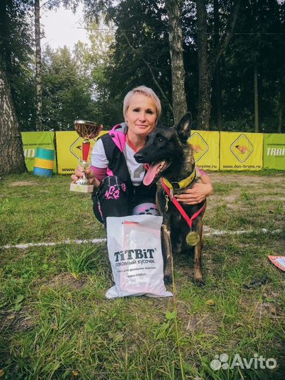 Малинуа knpv для вязки, участник чм по мондьорингу