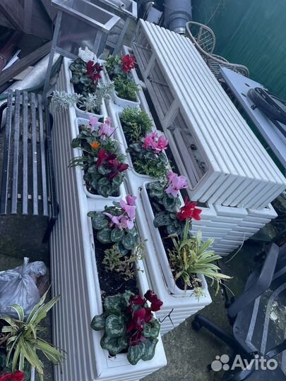 Кашпо клумбы