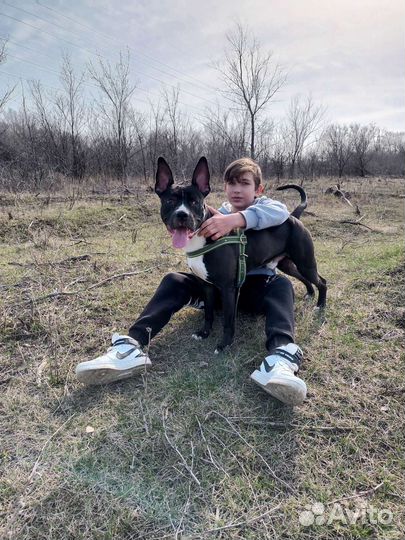 Передержка хвостиков