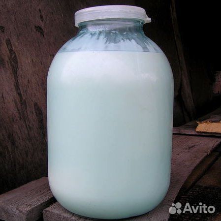 Молоко коровье домашнее