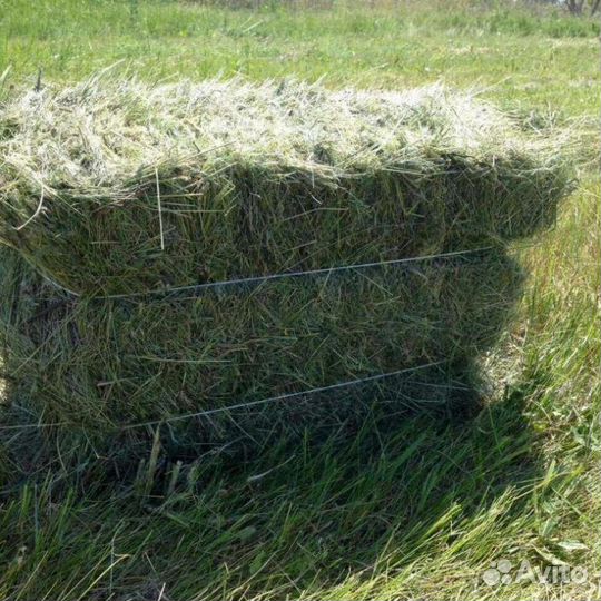 Сено в тюках