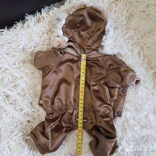 Одежда для маленькой собаки