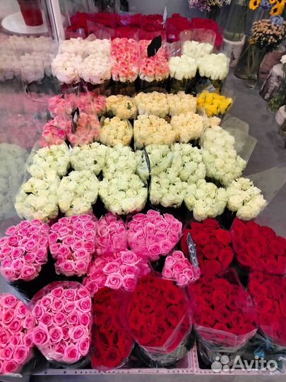 Розы мордовские