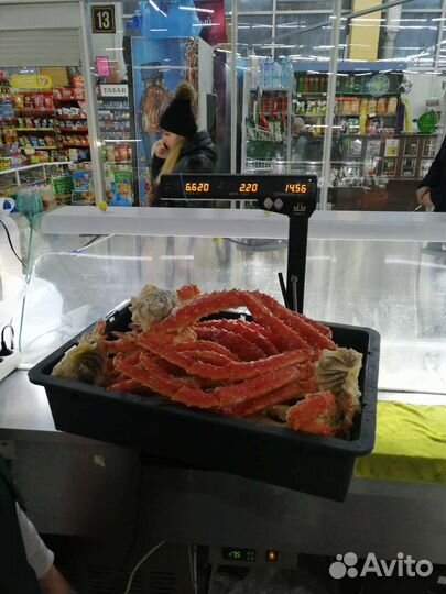 Краб Камчатский королевский