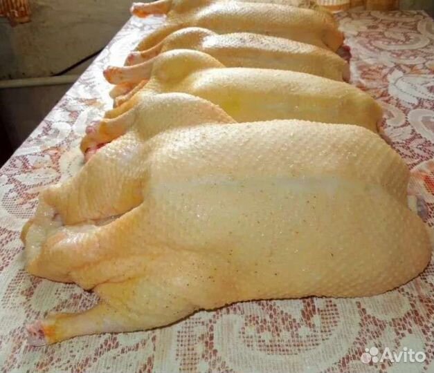 Утка домашняя мясо,домашние куриные яйца,карп рыба