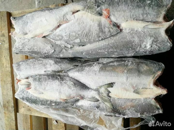 Нерка пбг оптом