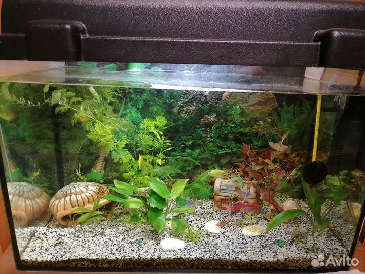 Аквариум