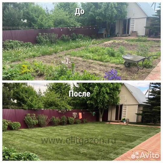 Укладка и продажа газона