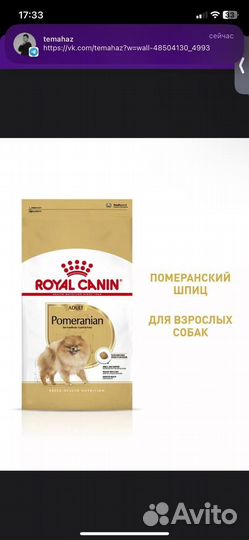 Корм для собак