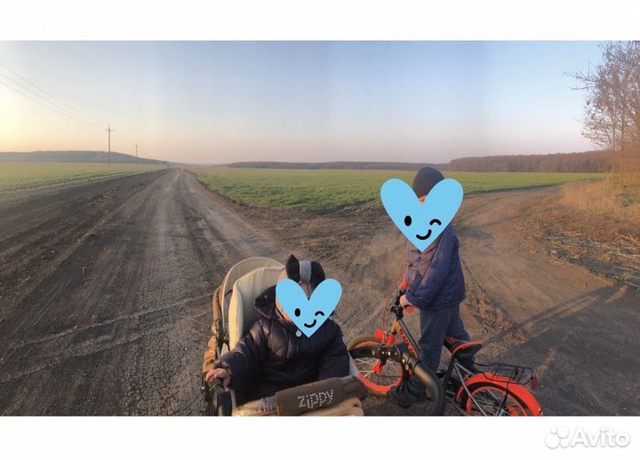 Коляска zippy 2 в 1