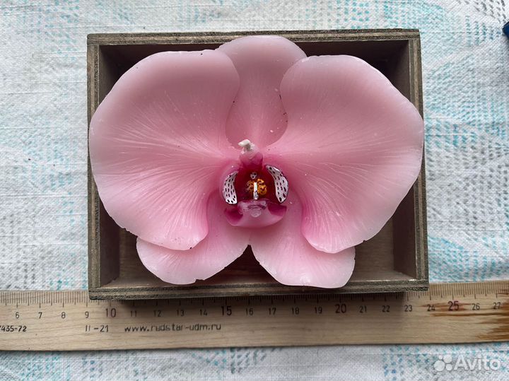 Куклы, Пупс ГДР, Ярославская майолика