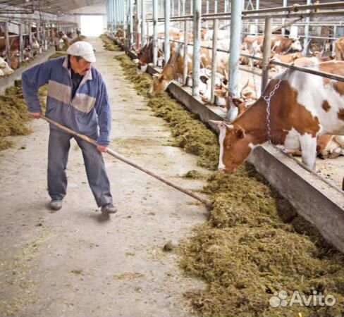 Животновод