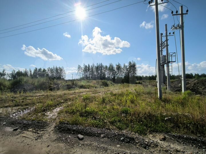 Участок 31,5 сот. (промназначения)