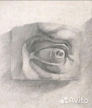 Гипсовые фигуры для рисования 4 штуки Нос Давида