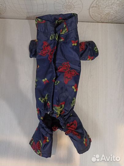 Зимняя одежда для собак