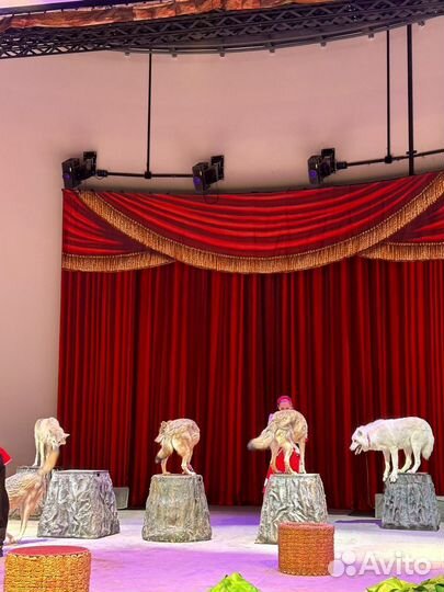 Билеты в цирк на Достоевской