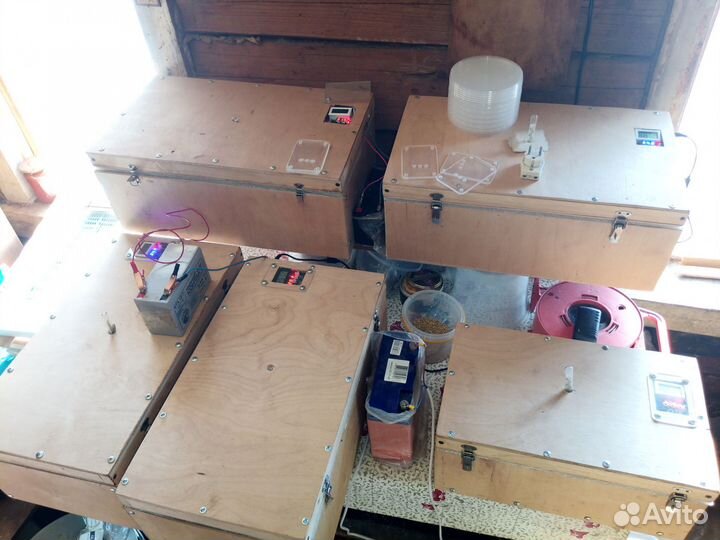 Инкубатор для маточников, пчеломаток