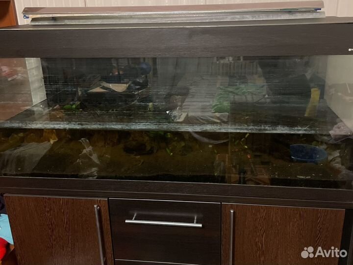 Аквариум AquaPlus pro 250