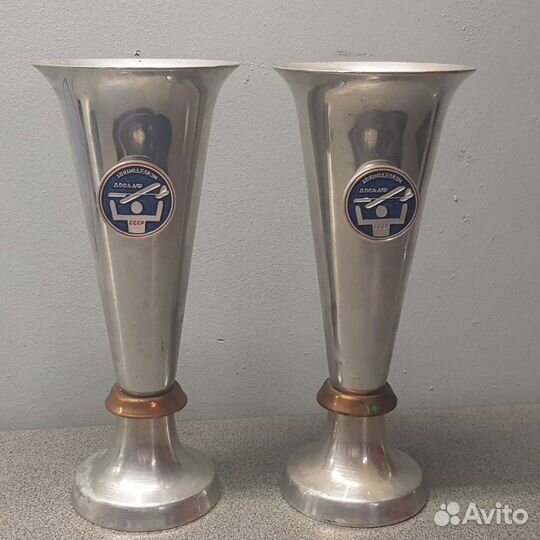 Кубок СССР Авиамоделизм досааф