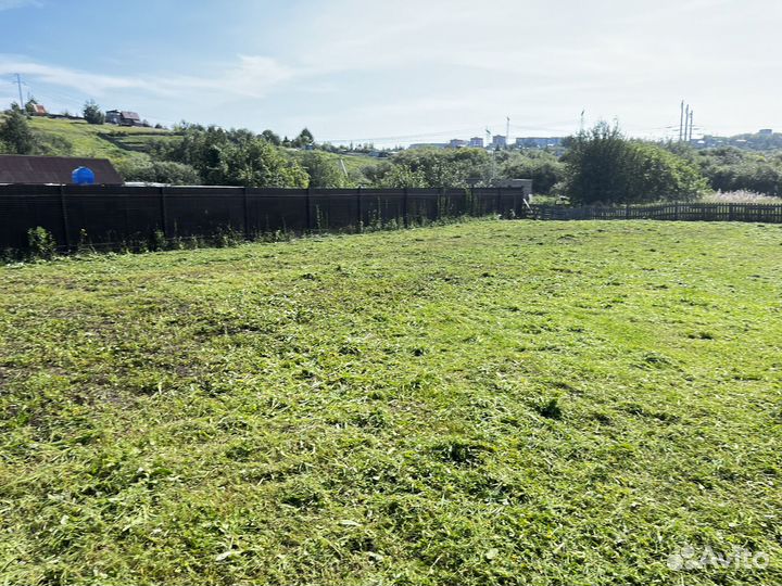 Корм для животных - Трава