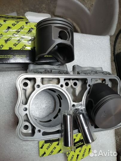 Polaris pro rmk 800