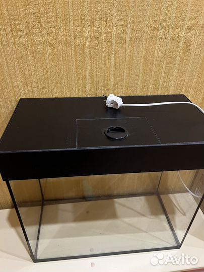 Аквариум / терраирум