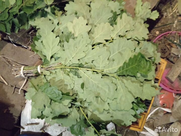 Веники для бани