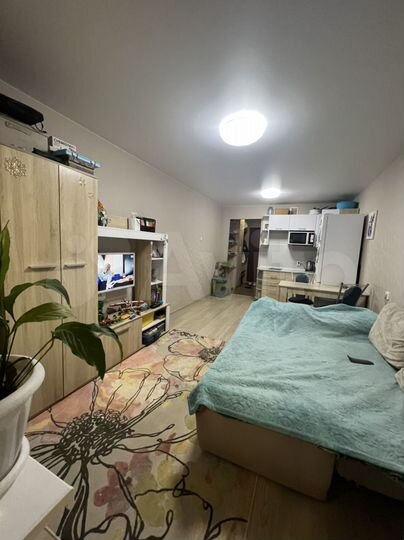 Квартира-студия, 23,3 м², 14/17 эт.