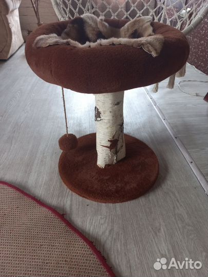 Лежанка для кота