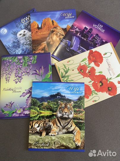 Тетради школьные