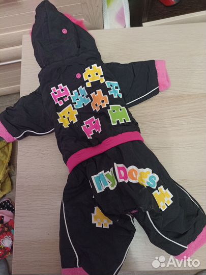 Одежда для собак