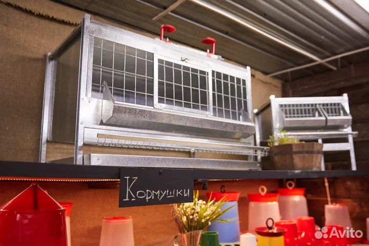 Клетки, брудеры