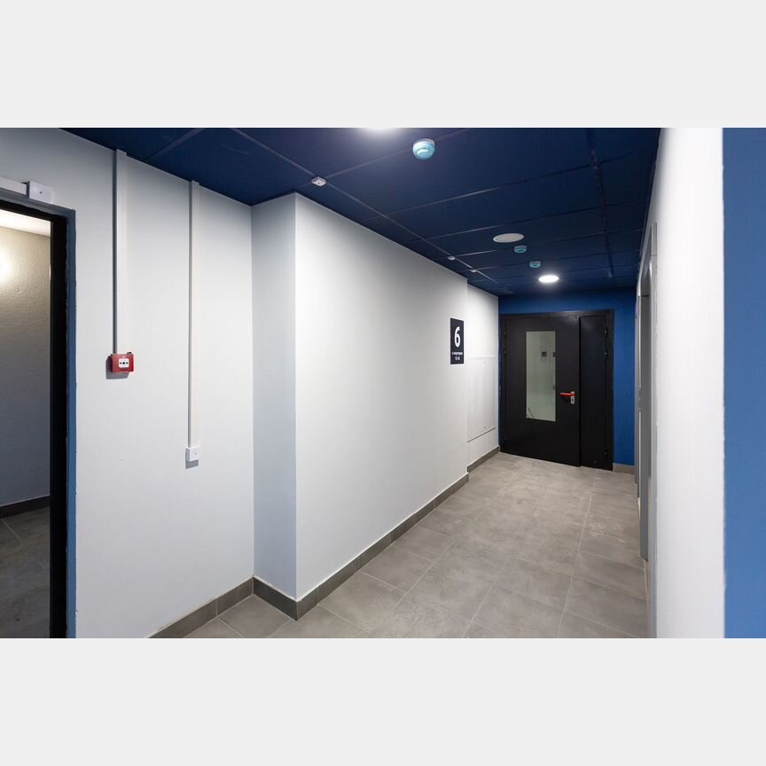 3-к. квартира, 69,6 м², 2/17 эт.