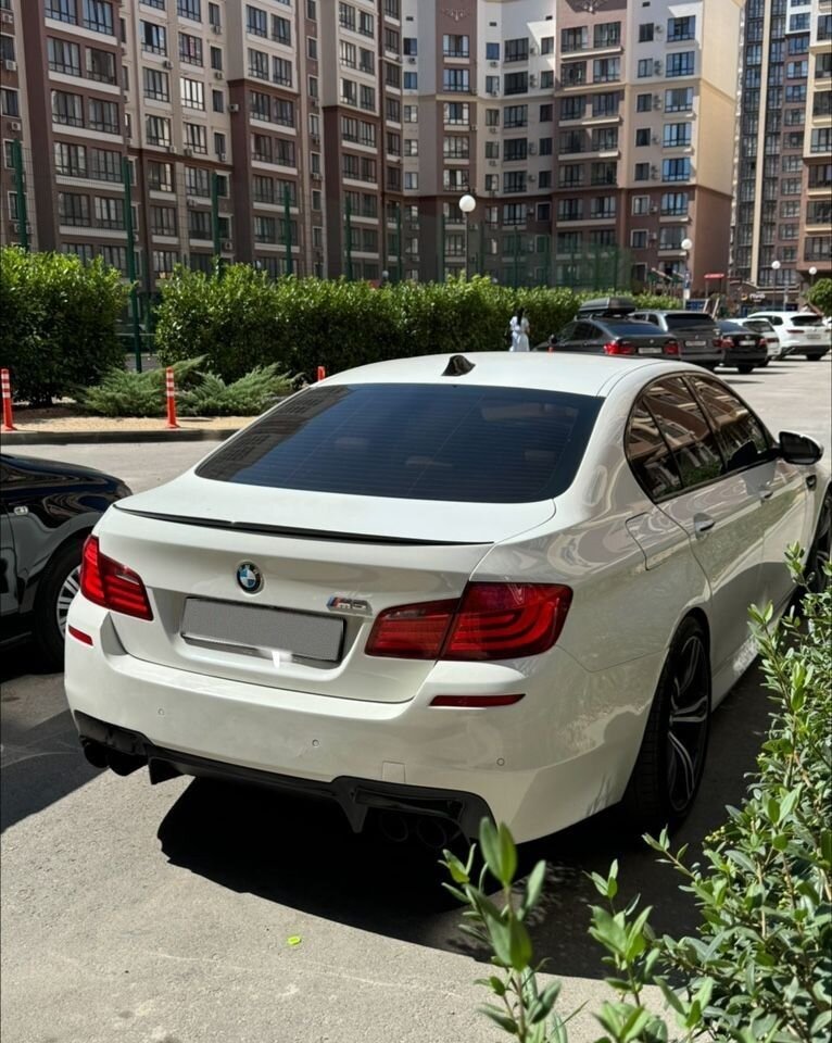 BMW M5: фото из отзыва