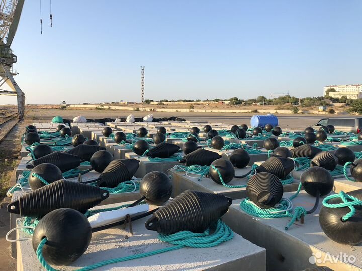 Мидия Устрица Аква ферма