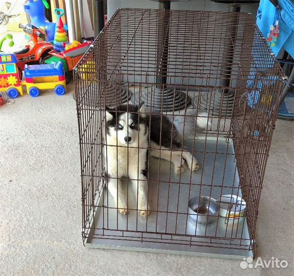 Клетка для собаки клетки для животных