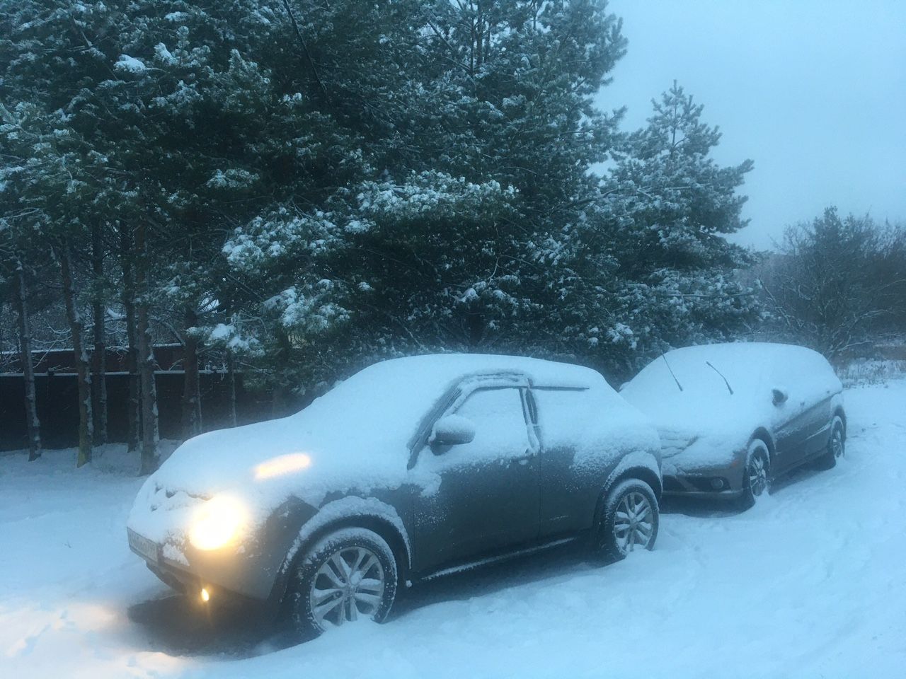 Nissan Juke: фото владельца