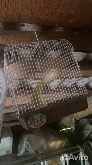 Аквариум и клетки