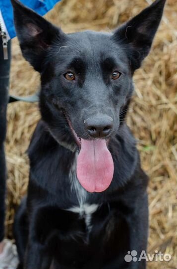 Две черные девочки