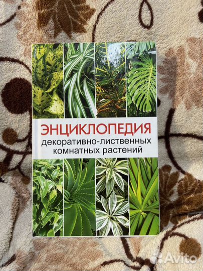 Энциклопедия комнатных растений